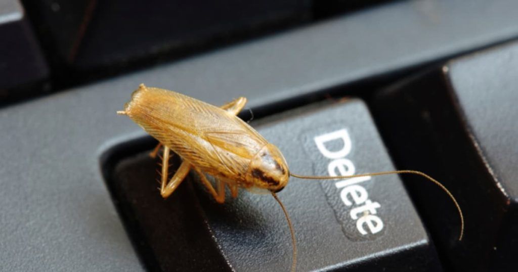 Уничтожение тараканов в офисе в Твери
